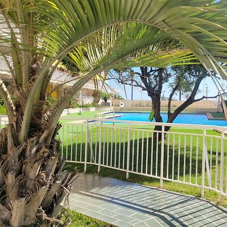 Aguamarina Gandia Daire Playa de Gandia Dış mekan fotoğraf